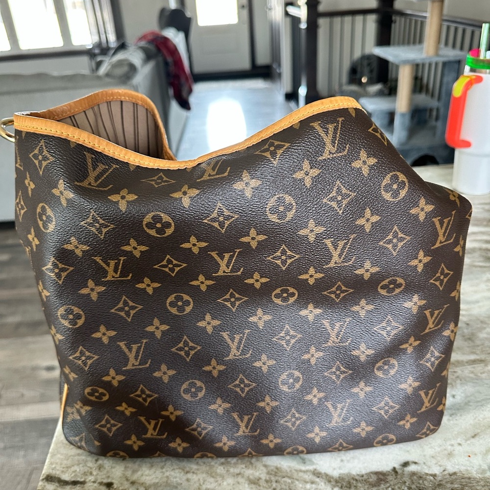 Louis Vuitton Brown Hobo Bag